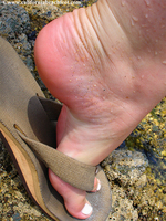 2005 coastal photography preview