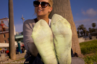 2012 coastal photography preview