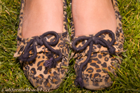 2012 coastal photography preview