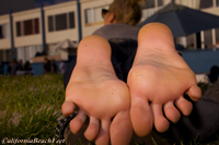 2012 coastal video preview